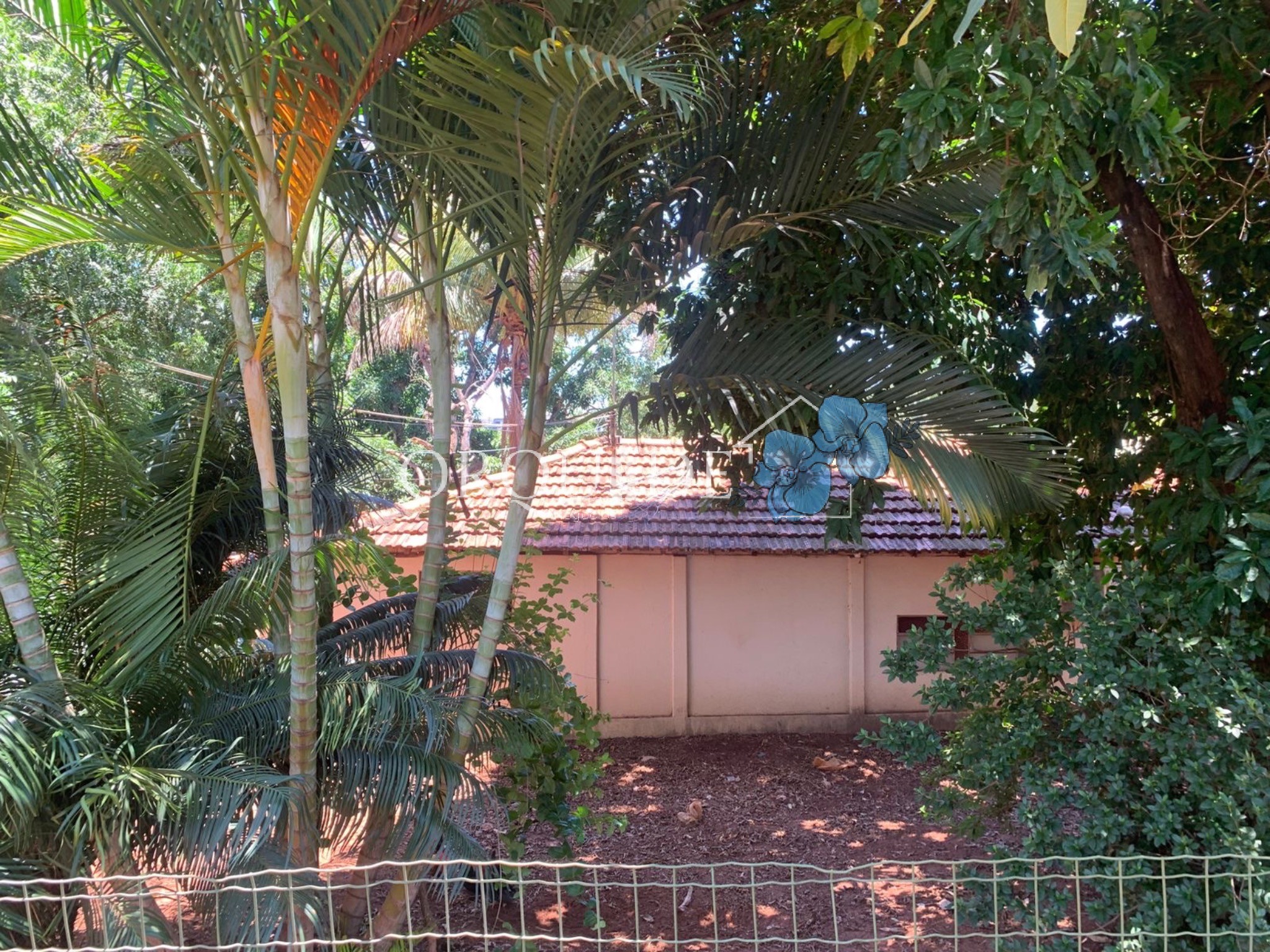 Chácara, 2 quartos - Foto 1