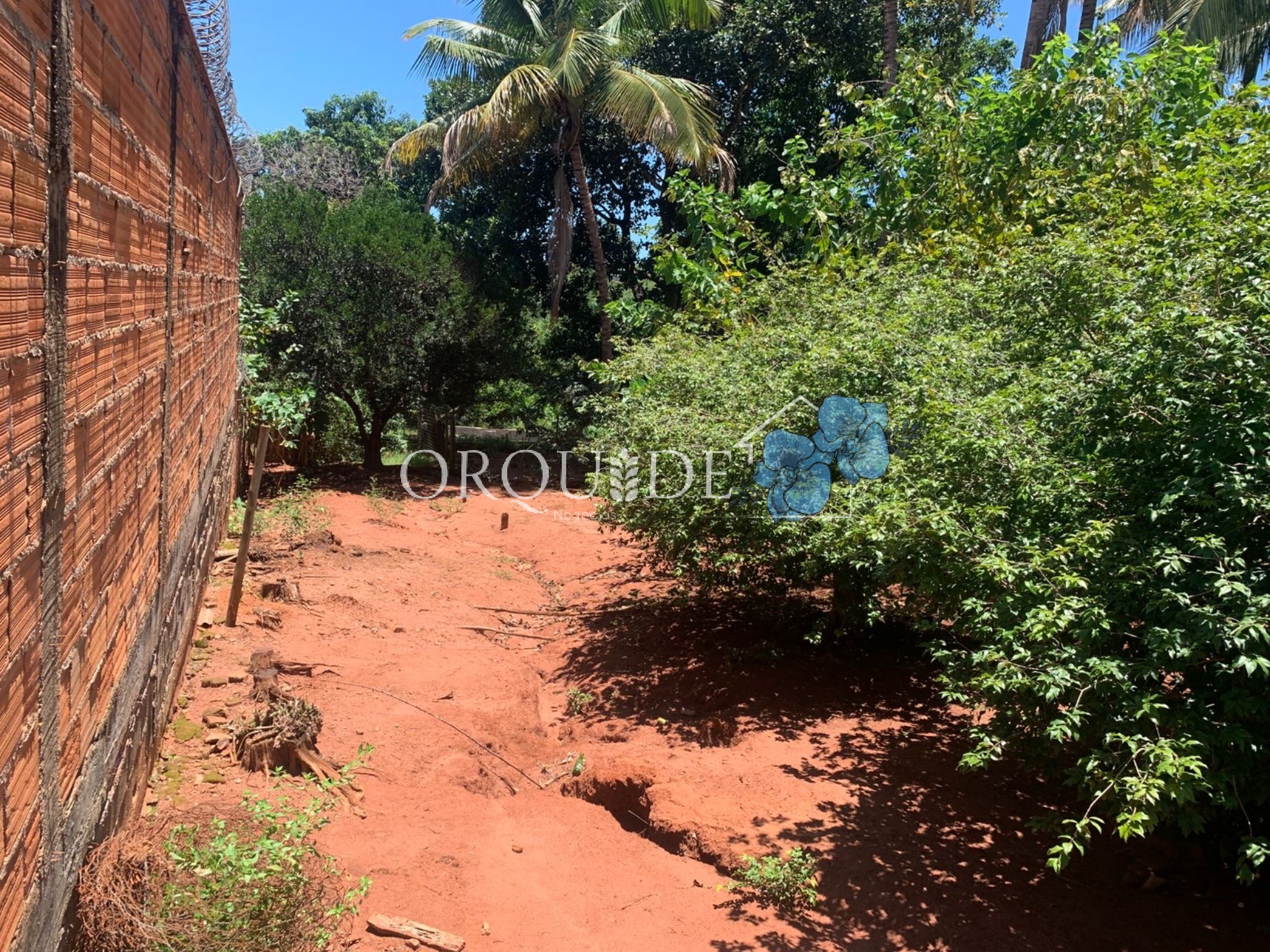 Chácara, 2 quartos - Foto 4