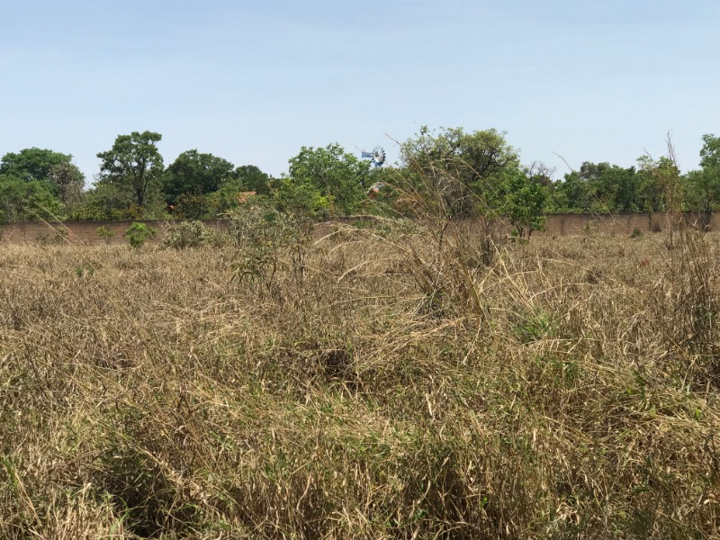 Terreno à venda, 25000m² - Foto 1