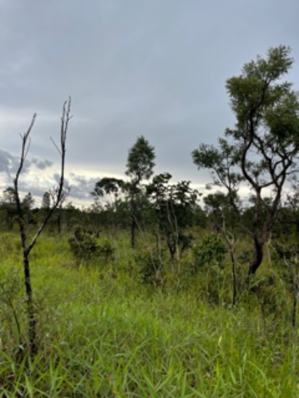 Terreno à venda, 17500m² - Foto 6