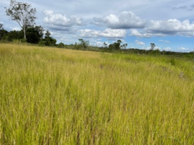 Terreno à venda, 40000m² - Foto 3