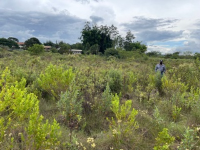 Terreno à venda, 40000m² - Foto 6