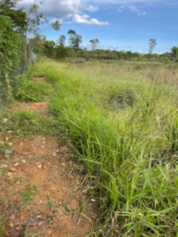 Terreno à venda, 40000m² - Foto 4