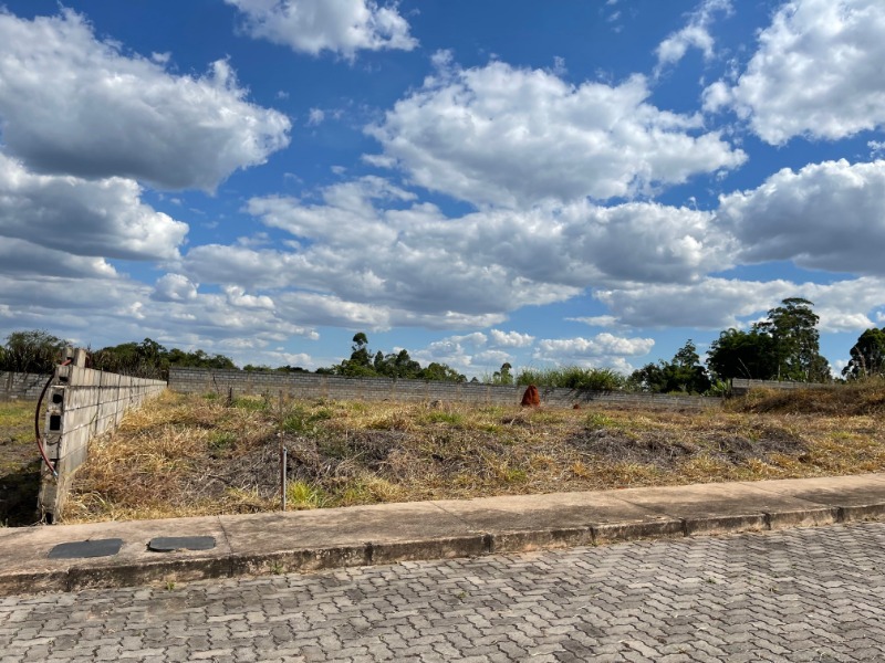 Terreno à venda, 2500m² - Foto 7