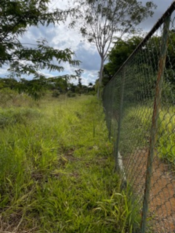 Terreno à venda, 40000m² - Foto 5