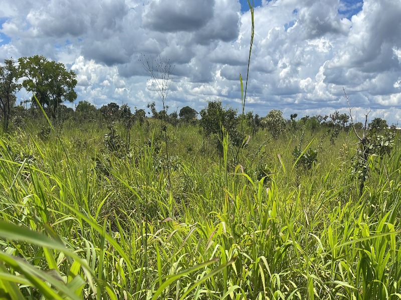 Loteamento e Condomínio à venda, 20000m² - Foto 1