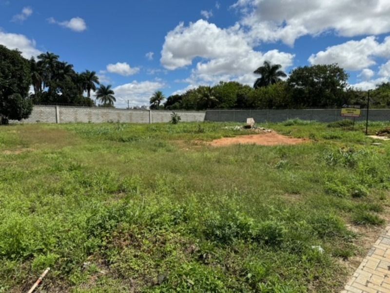 Terreno à venda, 2500m² - Foto 3