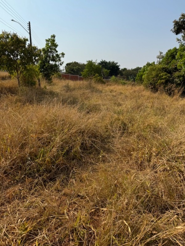 Terreno à venda, 5000m² - Foto 3