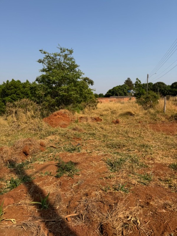 Terreno à venda, 5000m² - Foto 5