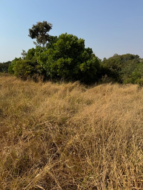 Terreno à venda, 5000m² - Foto 4