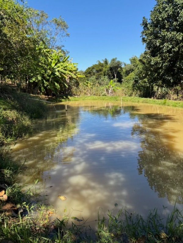 Chácara à venda com 3 quartos, 20000m² - Foto 1