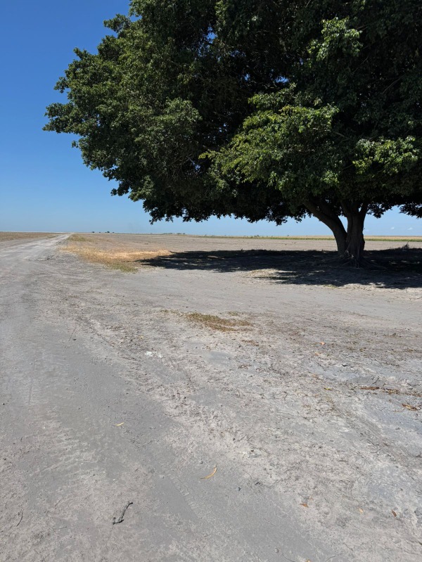 Fazenda à venda - Foto 2