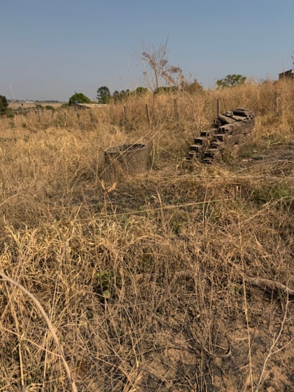 Terreno à venda com 4 quartos, 350m² - Foto 11