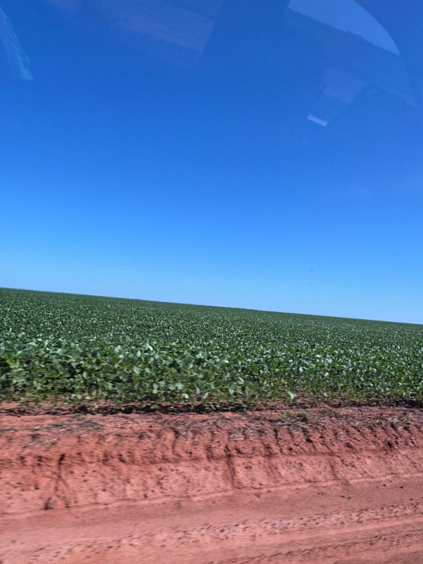 Fazenda à venda - Foto 1