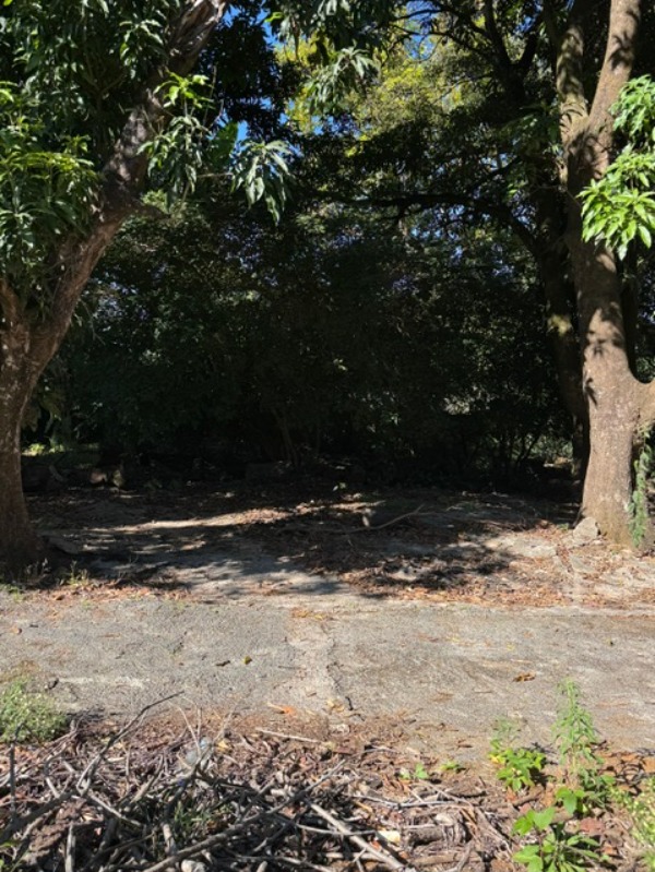 Chácara, 2 quartos - Foto 11
