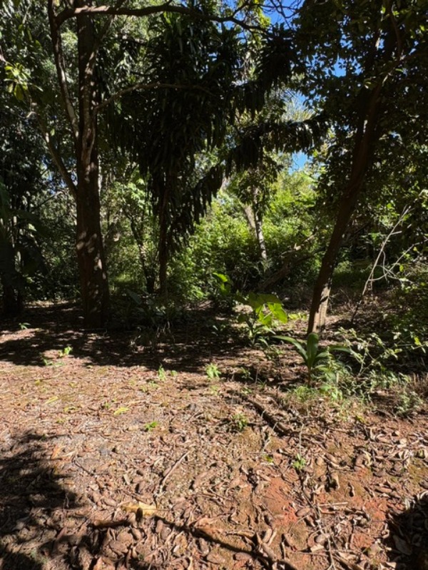 Chácara, 2 quartos - Foto 15