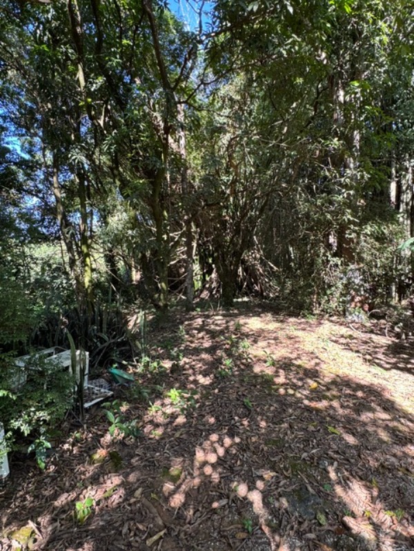 Chácara, 2 quartos - Foto 19