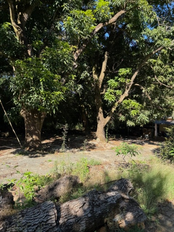 Chácara, 2 quartos - Foto 10