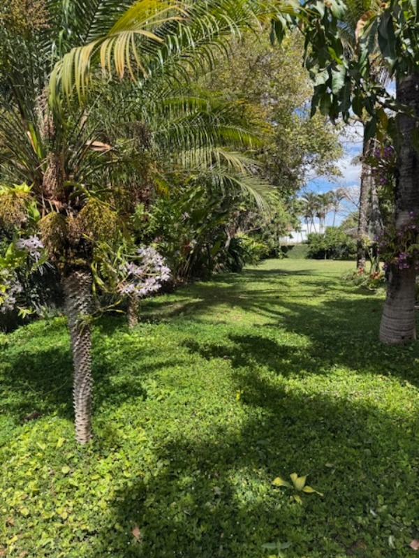 Casa, 4 quartos - Foto 4