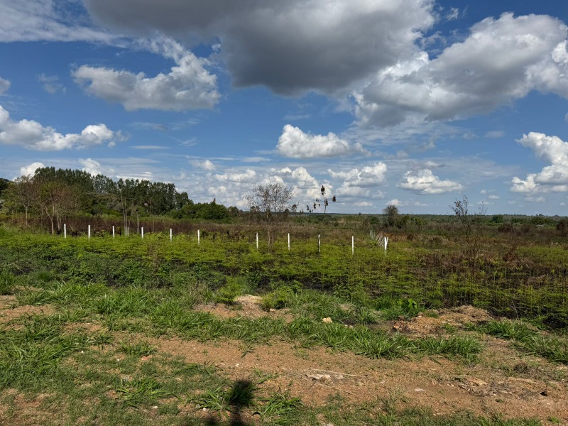 Terreno, 2500 m² - Foto 3