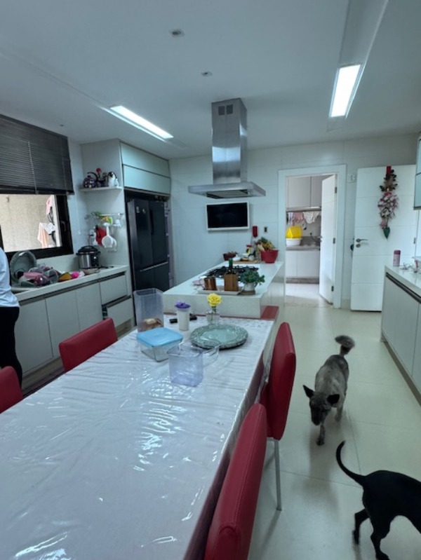 Casa, 5 quartos, 820 m² - Foto 13