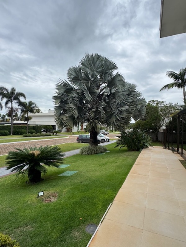 Casa, 5 quartos, 820 m² - Foto 4
