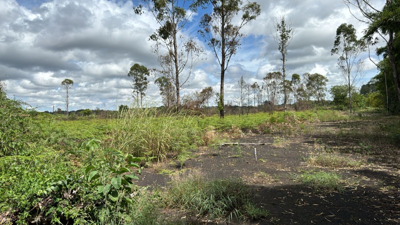 Terreno, 2500 m² - Foto 4