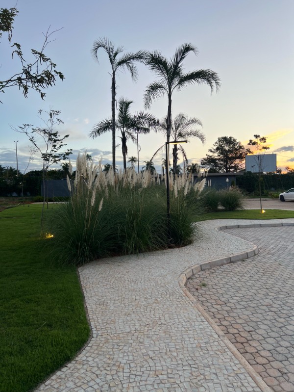 Terreno, 2500 m² - Foto 11