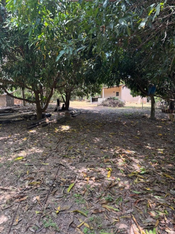 Chácara, 2 quartos - Foto 7