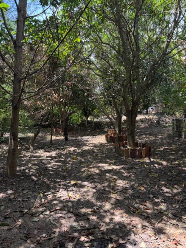 Chácara, 2 quartos - Foto 14