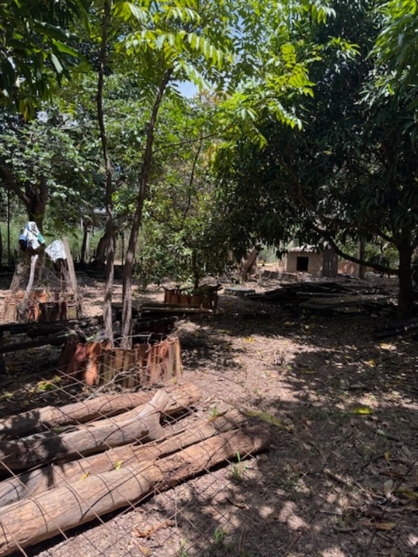 Chácara, 2 quartos - Foto 8