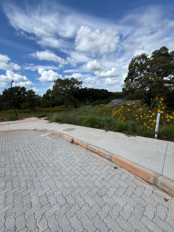 Terreno, 2500 m² - Foto 4