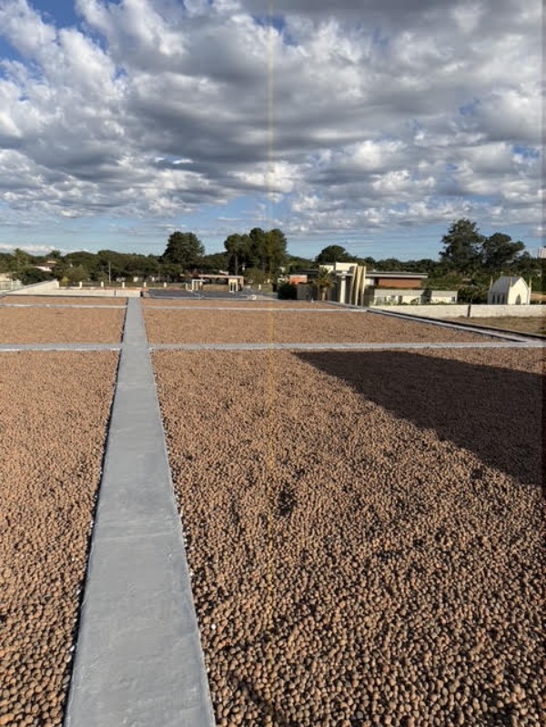 Terreno, 2500 m² - Foto 3