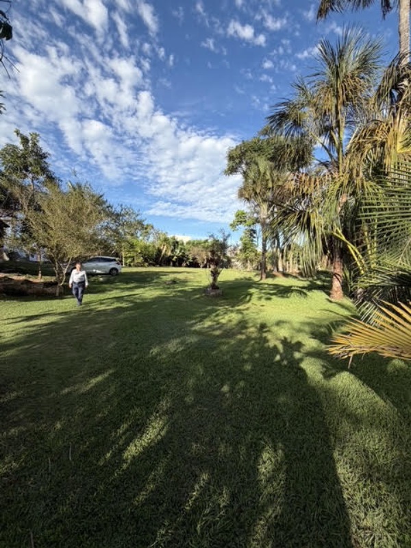 Terreno, 3 hectares - Foto 3