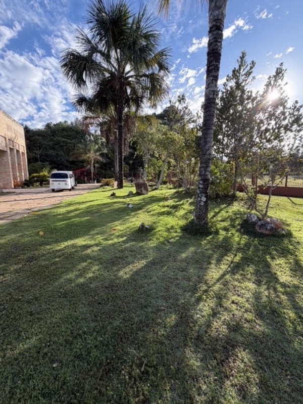 Terreno, 3 hectares - Foto 9