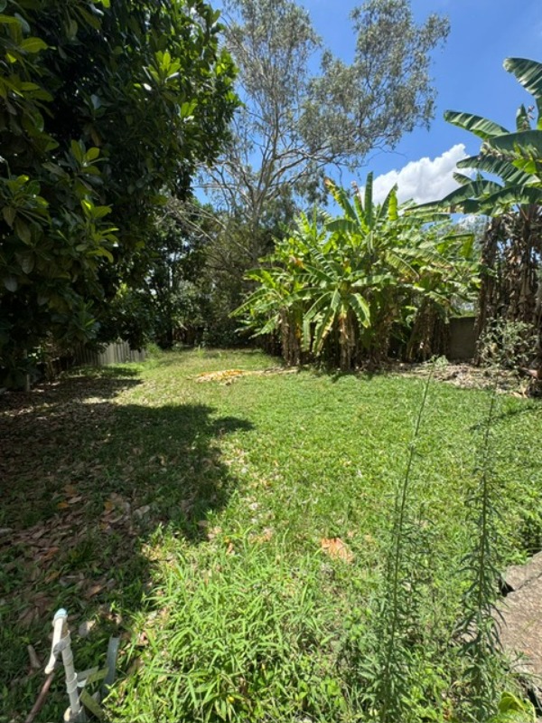 Terreno, 3 hectares - Foto 4
