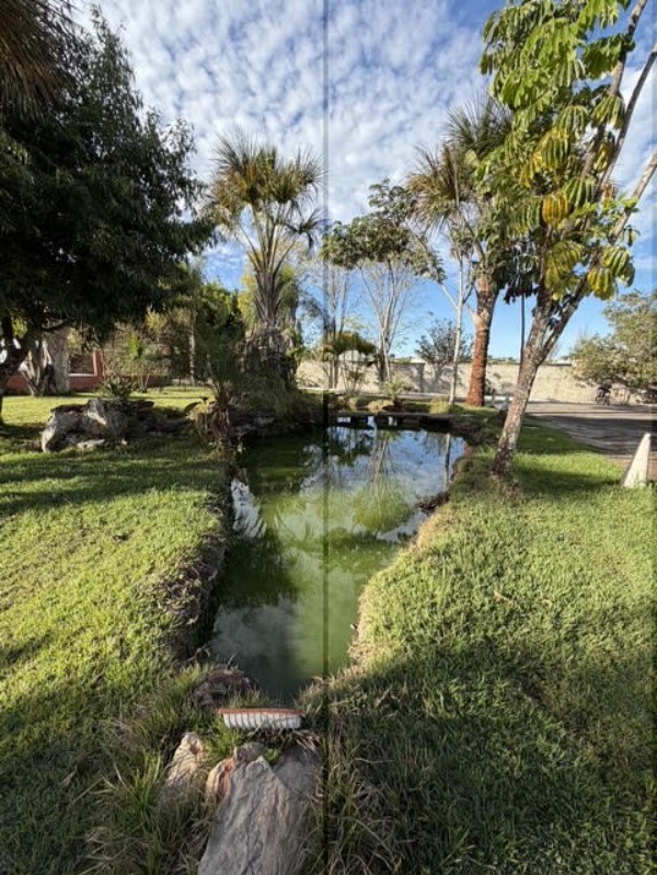 Terreno, 3 hectares - Foto 8