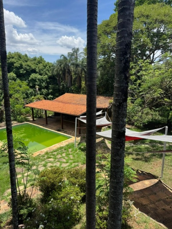 Terreno, 3 hectares - Foto 7