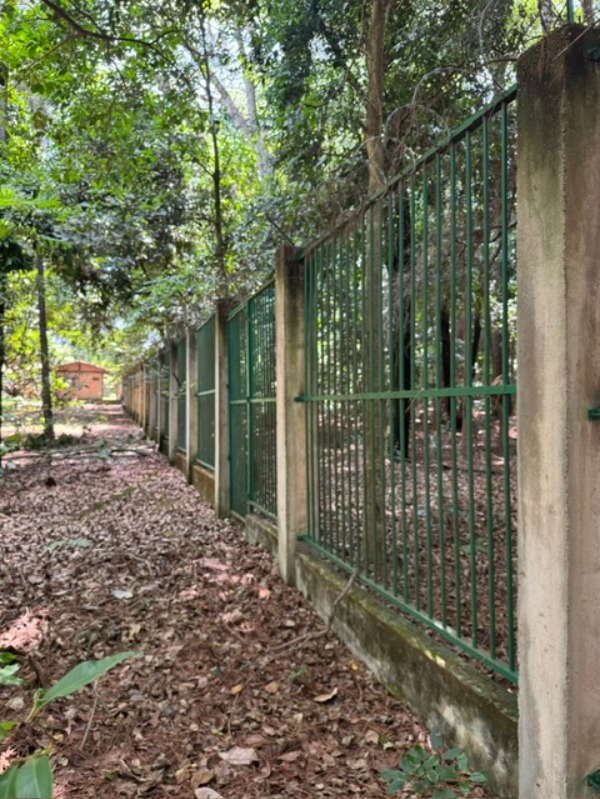 Terreno, 3 hectares - Foto 1