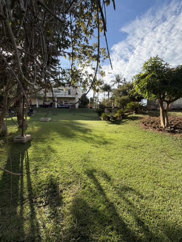 Terreno, 3 hectares - Foto 4
