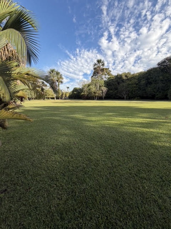 Terreno, 3 hectares - Foto 10