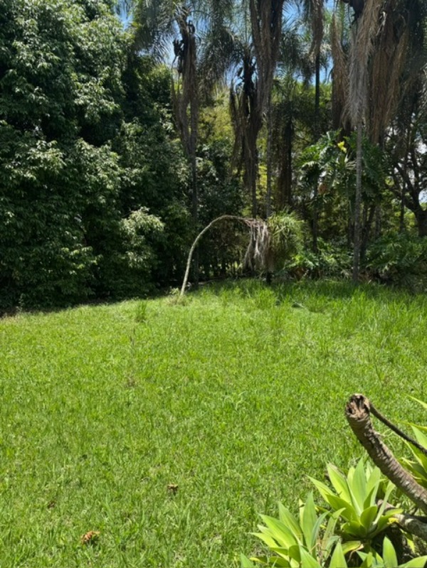 Terreno, 3 hectares - Foto 2