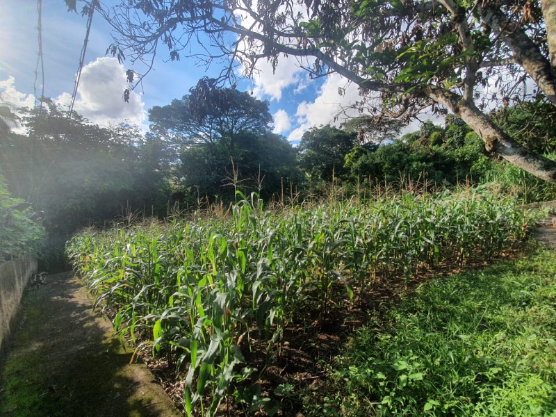 Terreno à venda com 11 quartos, 3375m² - Foto 13