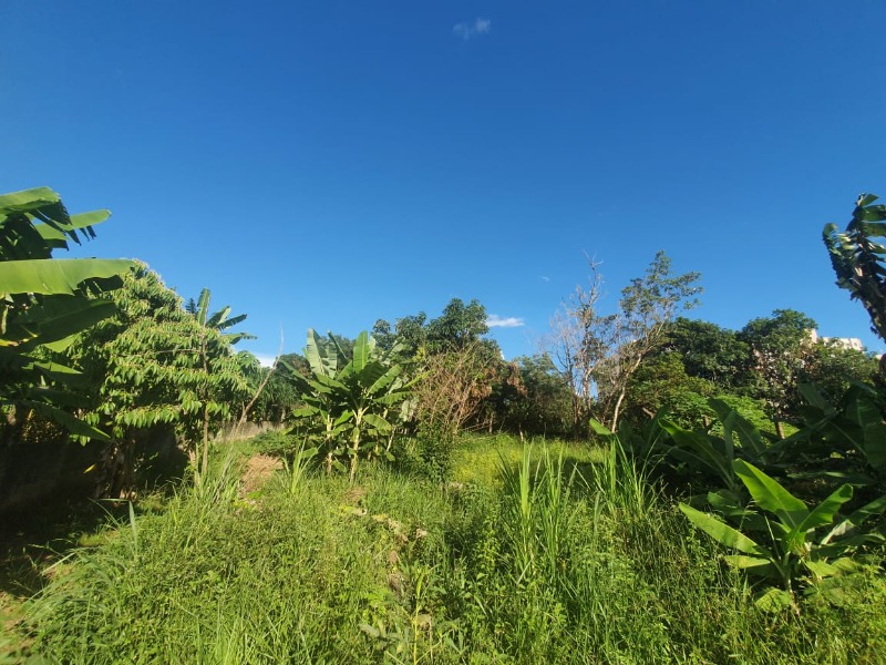 Terreno à venda com 11 quartos, 3375m² - Foto 17