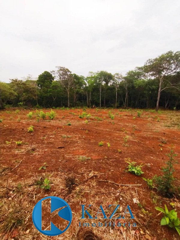 Chácara à venda com 2 quartos, 60000m² - Foto 27