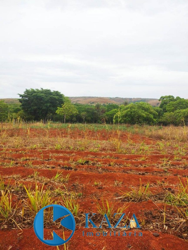 Chácara à venda com 2 quartos, 60000m² - Foto 4