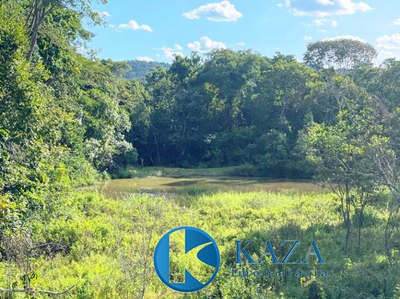 Fazenda, 97 hectares - Foto 6