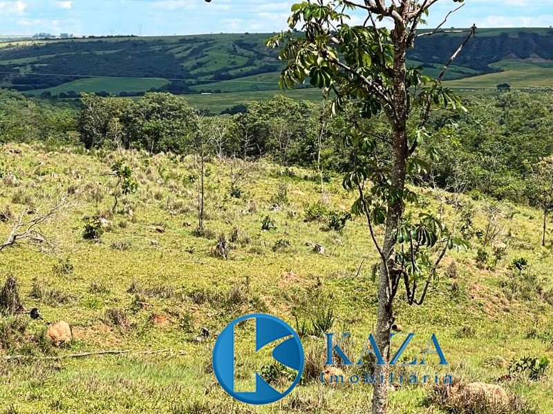 Fazenda, 97 hectares - Foto 7