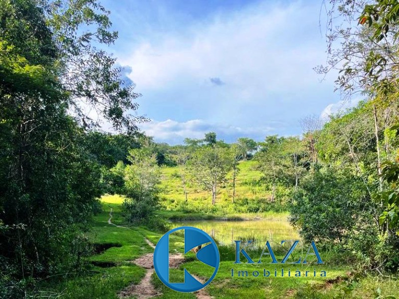Fazenda, 97 hectares - Foto 1