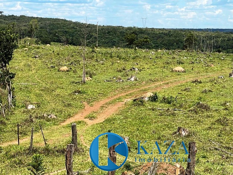 Fazenda, 97 hectares - Foto 9